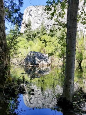 Yosemite Biking - Mirror Lake